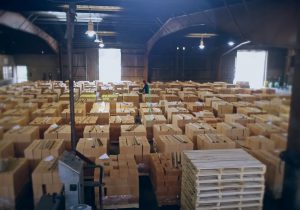 gallery-Stock-and-Planning-Unit