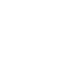 First-Icon1