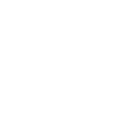 Increase-Icon